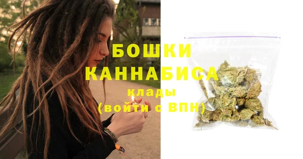 спиды Богданович