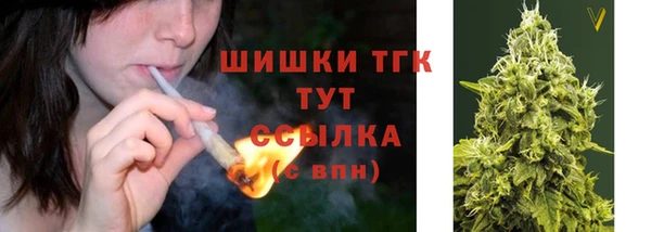 спиды Богданович