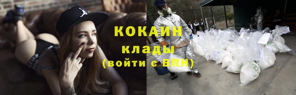 спиды Богданович