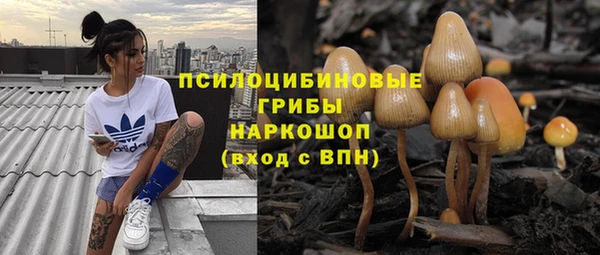 марки nbome Белокуриха