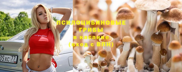 спиды Богданович